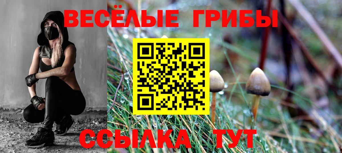 Псилоцибиновые грибы прущие грибы  Вход с VPN  Тавда 