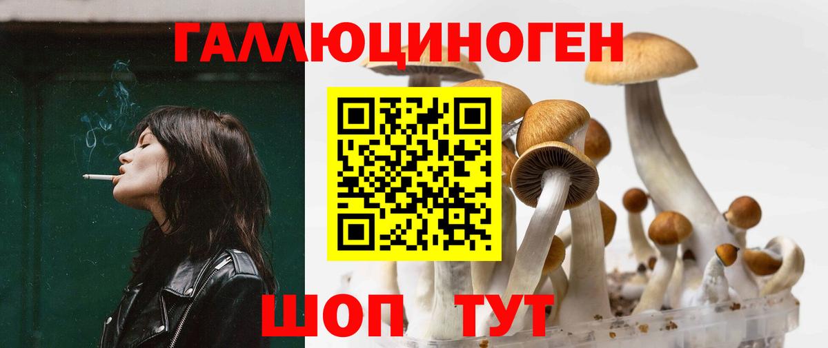 Псилоцибиновые грибы MAGIC MUSHROOMS Тавда